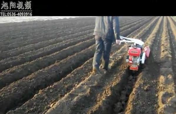 【视频】田园管理机种植土豆开沟起垄效果视频