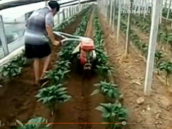 【视频】大棚蔬菜使用田园管理机进行培土作业
