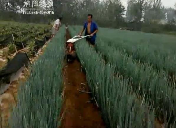 【视频】大葱开沟培土机进行实地培土视频展示