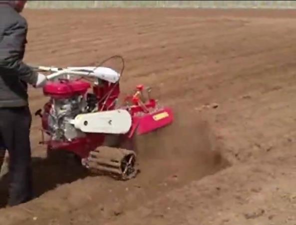 【视频】大姜开沟培土机进行大姜开沟种植操作