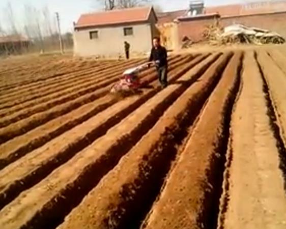 【视频】大姜种植利用开沟培土机开沟作业视频